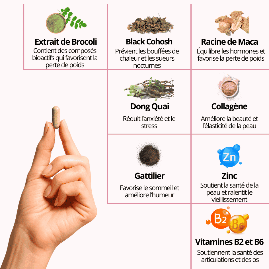 Ecolady Menopause
